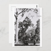 Natuur van het Kaapstadspark in Zuid-Afrika ZA Briefkaart (Voorkant / Achterkant)