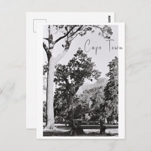 Natuur van het Kaapstadspark in Zuid-Afrika ZA Briefkaart (Voorkant / Achterkant)