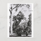 Natuur van het Kaapstadspark in Zuid-Afrika ZA Briefkaart (Voorkant)
