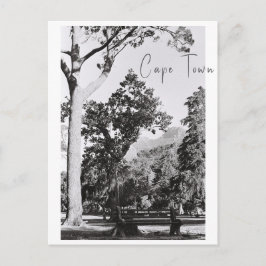 Natuur van het Kaapstadspark in Zuid-Afrika ZA Briefkaart