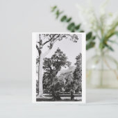 Natuur van het Kaapstadspark in Zuid-Afrika ZA Briefkaart (Staand voorkant)