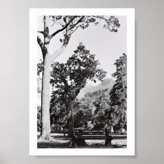 Natuur van het Kaapstadspark in Zuid-Afrika ZA Poster (Voorkant)