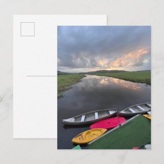 Natuur van het moerasgebied Kaw-Roura - Frans-Guya Briefkaart (Voorkant / Achterkant)