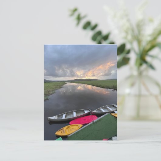 Natuur van het moerasgebied Kaw-Roura - Frans-Guya Briefkaart (Staand voorkant)