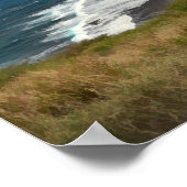 Natuur van het strand van het Zee van de Tropische Poster (Hoek)