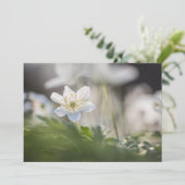 Natuur van hout Anemone (Staand voorkant)