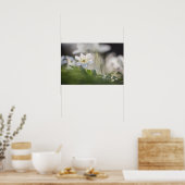 Natuur van hout Anemone Foto Poster (Keuken)
