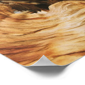 natuur van houten patroontextuur oud poster (Hoek)