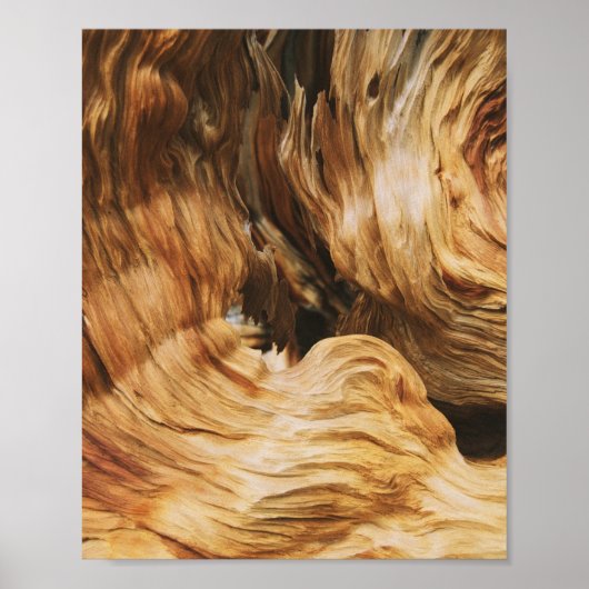 natuur van houten patroontextuur oud poster (Voorkant)