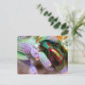 natuur van insecten briefkaart (Staand voorkant)