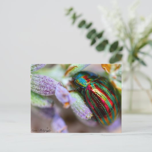 natuur van insecten briefkaart (Staand voorkant)