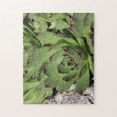 Natuur van kippen en kippen legpuzzel (Verticaal)