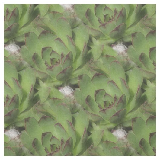 Natuur van kippen en kippen stof (Swatch)