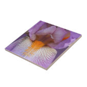 Natuur van lavender Bearded Iris Flower Petals Tegeltje (Zijkant)
