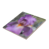 Natuur van lavender-gelaagde irisventiel tegeltje (Zijkant)