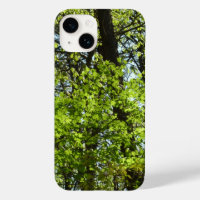 Natuur van lentemaple