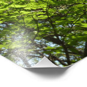 Natuur van lentemaple foto afdruk (Hoek)