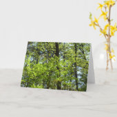 Natuur van lentemaple kaart (Gele Bloem)