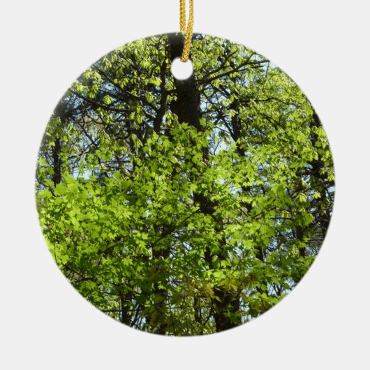 Natuur van lentemaple keramisch ornament (Voorkant)