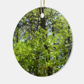 Natuur van lentemaple keramisch ornament (Links)