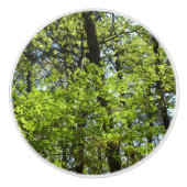 Natuur van lentemaple keramische knop (Voorkant)