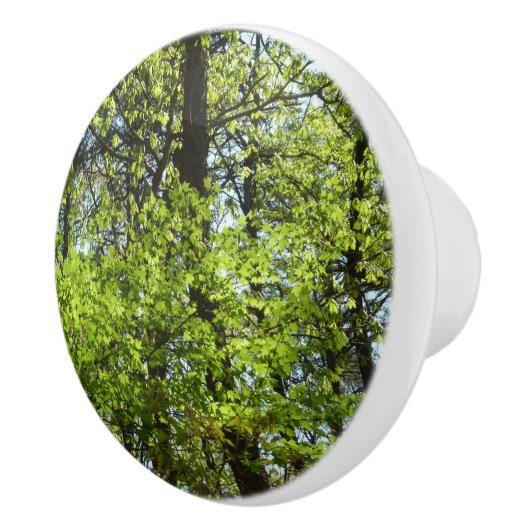 Natuur van lentemaple keramische knop (Rechts)