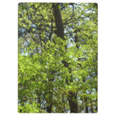 Natuur van lentemaple klembord (Achterkant)
