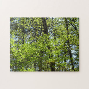 Natuur van lentemaple legpuzzel