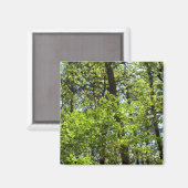 Natuur van lentemaple magneet (Voorkant / Achterkant)