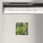 Natuur van lentemaple magneet (Insitu (Vaatwasser))