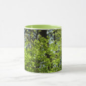 Natuur van lentemaple mok (Midden)