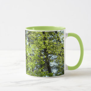 Natuur van lentemaple mok