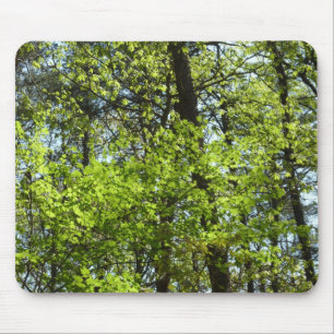 Natuur van lentemaple muismat
