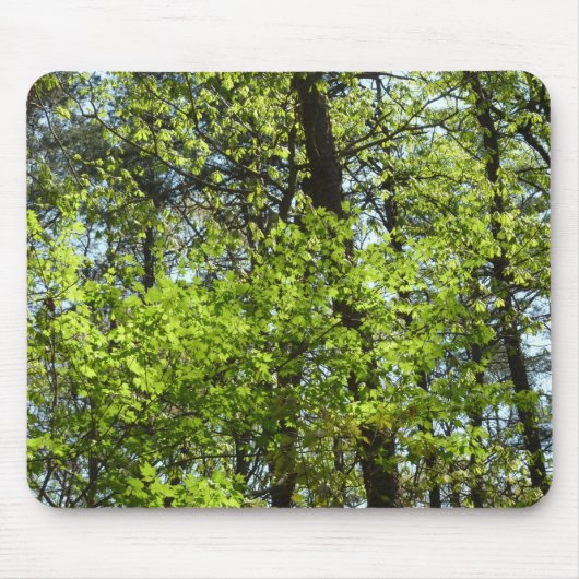 Natuur van lentemaple muismat (Voorkant)