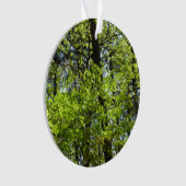 Natuur van lentemaple ornament (voorkant)