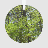 Natuur van lentemaple ornament (achterkant)