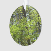 Natuur van lentemaple ornament (voorkant)