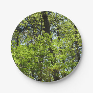 Natuur van lentemaple papieren bordje