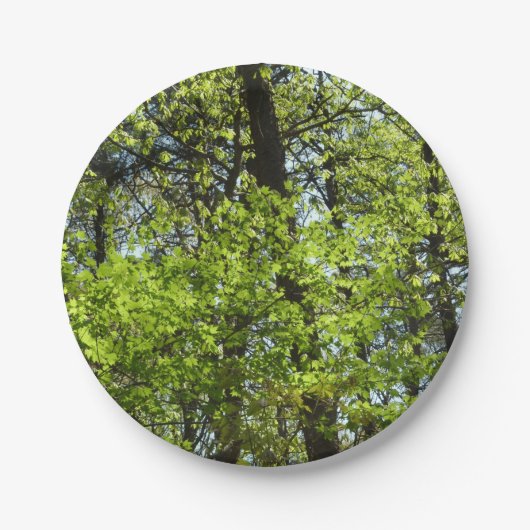 Natuur van lentemaple papieren bordje (Voorkant)