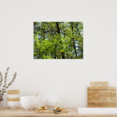 Natuur van lentemaple poster (Keuken)