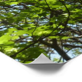 Natuur van lentemaple poster (Hoek)