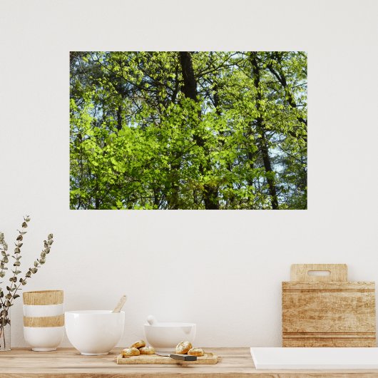Natuur van lentemaple poster (Keuken)