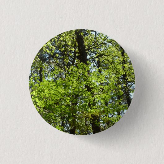 Natuur van lentemaple ronde button 3,2 cm (Voorkant)