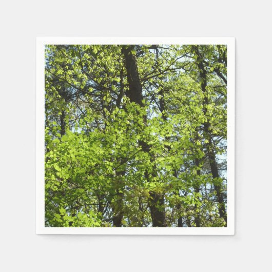 Natuur van lentemaple servet (Voorkant)