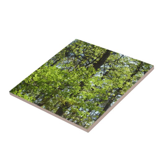 Natuur van lentemaple tegeltje (Zijkant)