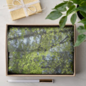 Natuur van lentemaple tissuepapier (Geschenk)