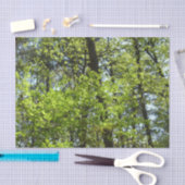 Natuur van lentemaple tissuepapier (Craft)