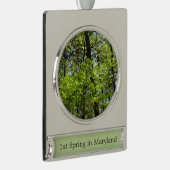Natuur van lentemaple verzilverd banner ornament (Rechts)