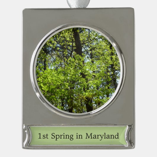 Natuur van lentemaple verzilverd banner ornament (Voorkant)