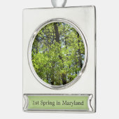 Natuur van lentemaple verzilverd banner ornament (Links)